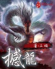 撼龙封面