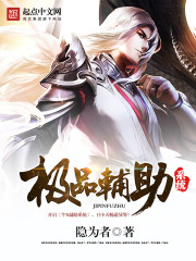 极品辅助系统封面