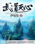 武道天心封面