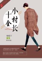 十全小村长封面