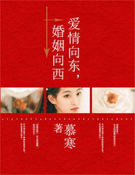 爱情向东,婚姻向西封面