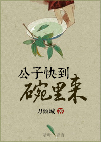 公子快到碗里来封面