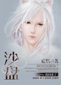 沙盘封面