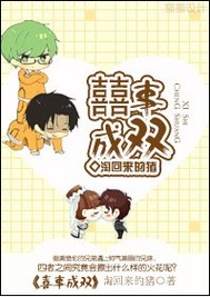 喜事成双封面