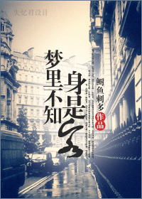 梦里不知身是客(民国)封面