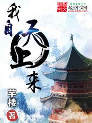 我自天上来封面