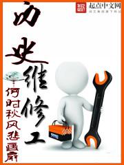 历史维修工封面