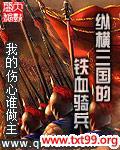 纵横三国的铁血骑兵封面
