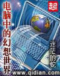电脑中的幻想世界封面